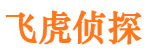 柳河市侦探调查公司